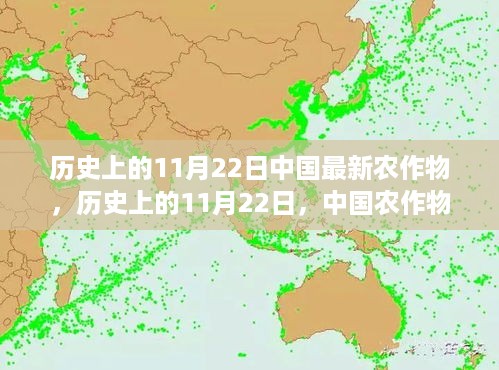 历史上的11月22日，中国农作物的新篇章与最新发展成就