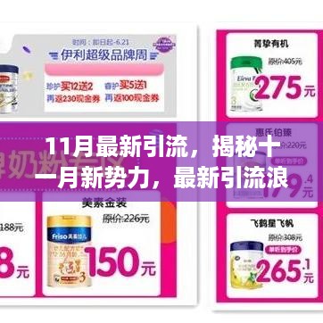 揭秘十一月新势力，最新引流背后的背景、事件与影响