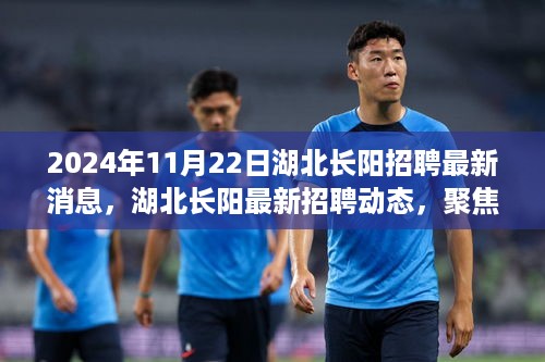 湖北长阳最新招聘动态揭秘，聚焦职业机遇的2024年11月22日