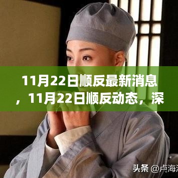 11月22日顺反最新动态深度解析与未来展望