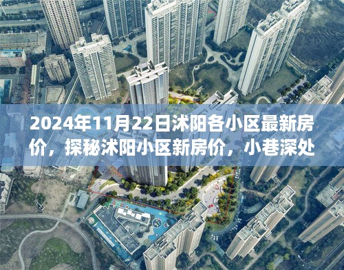 探秘沭阳小区房价，最新房价信息与隐藏小巷风情宝藏（日期，2024年11月22日）
