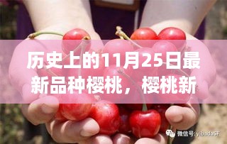 容光焕发 第18页