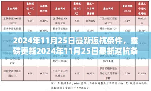 重磅更新！2024年11月25日最新返杭条件全解析，返杭准备指南