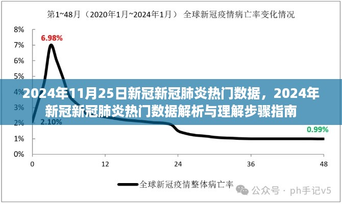 2024年新冠新冠肺炎热门数据解析与指南，理解疫情动态