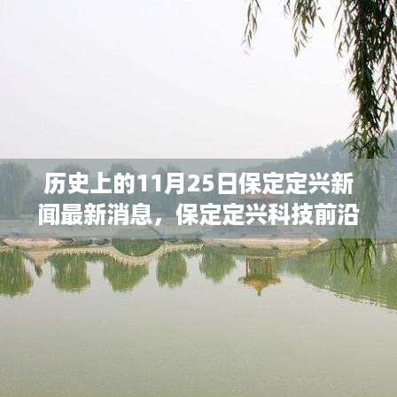 保定定兴科技前沿，深度解析最新高科技产品，历史与今日交汇的11月25日新闻速递