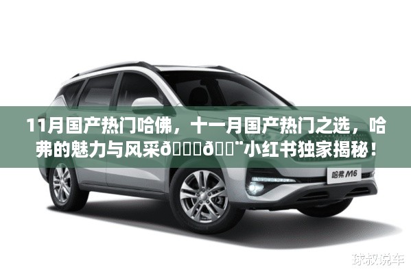 手舞足蹈 第13页