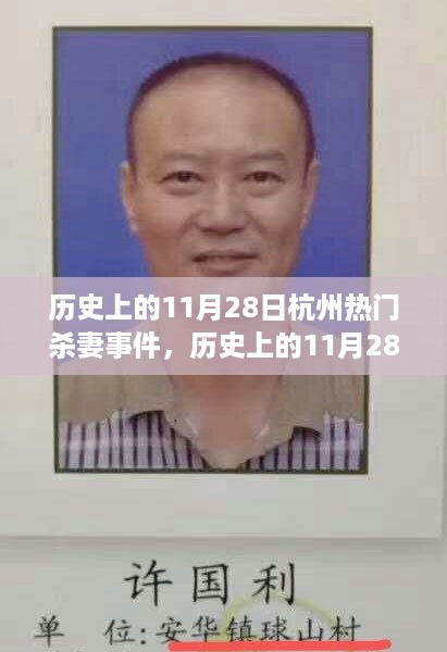 历史上的11月28日杭州杀妻事件深度解析与剖析