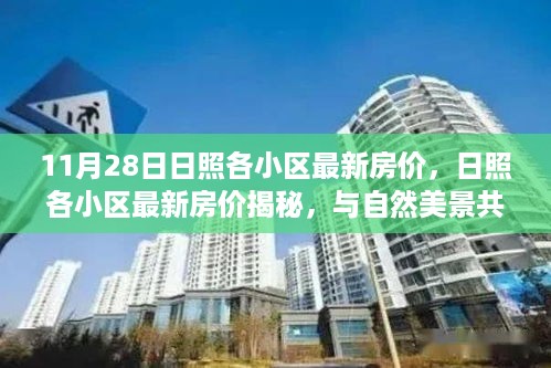 肝胆相照 第13页