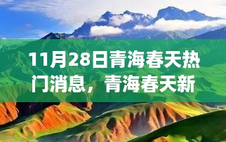 青海春天热议新篇章，观点碰撞背后的聚焦焦点