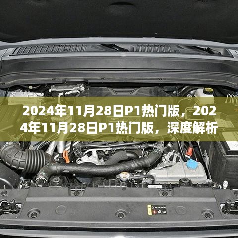 独家解析，2024年11月28日P1热门版影响力及观点探讨