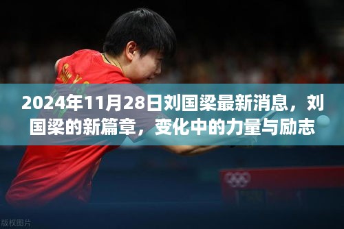 刘国梁的新篇章，变化中的力量与励志之旅（2024年11月28日最新消息）