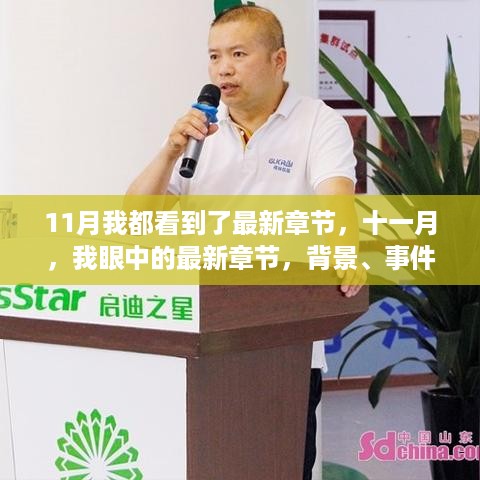深度剖析，最新章节背后的背景、事件与影响——十一月观察报告
