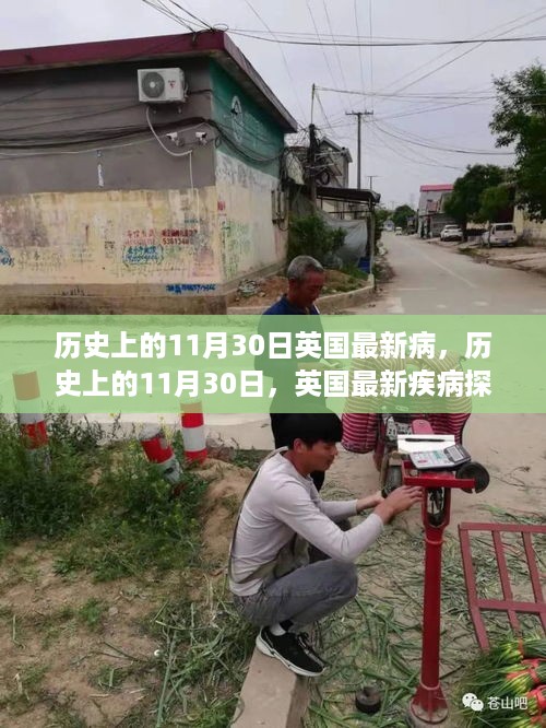 英国疾病历史探究，揭秘11月30日的重大疫情事件与最新进展