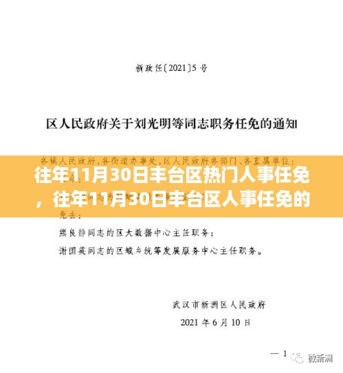 往年11月30日丰台区人事任免热点解析与深度观点剖析