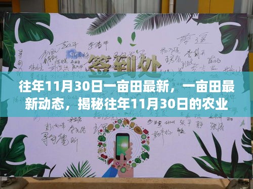 张牙舞爪 第12页