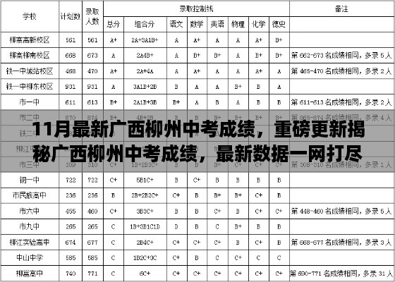 广西柳州中考成绩最新揭秘，重磅更新，一网打尽！