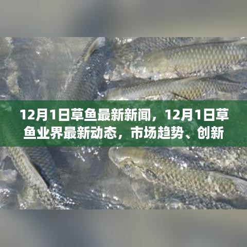 垂头丧气 第12页