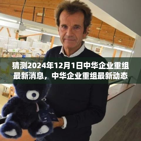 中华企业重组展望，最新动态分析与预测（猜测至2024年）