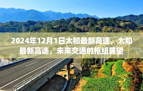 走马观花 第11页