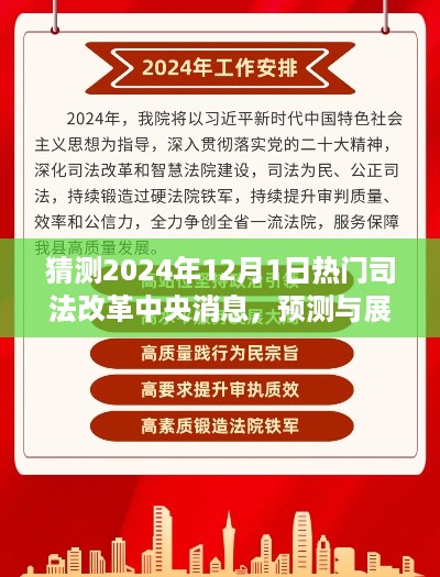 2024年司法改革中央消息展望，预测与猜测热门改革动态