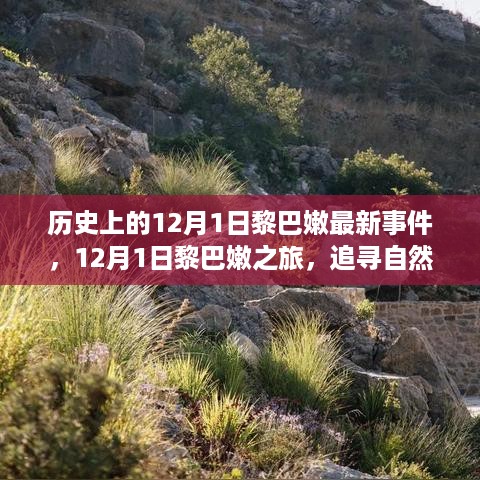 垂头丧气 第11页