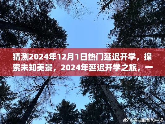 成功案例 第367页