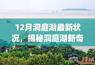 容光焕发 第12页