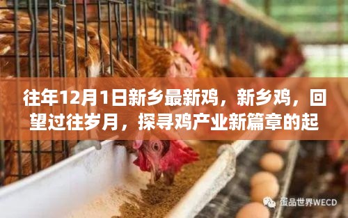 对答如流 第11页