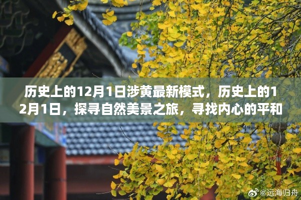 九死一生 第10页