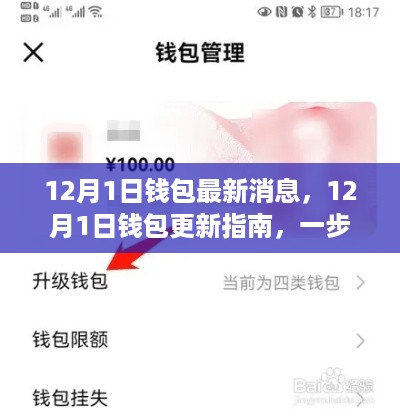 12月1日钱包更新揭秘，最新消息与操作指南