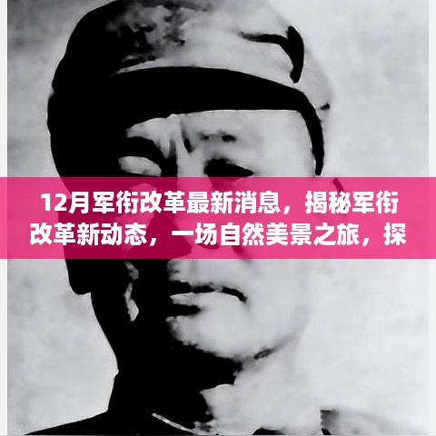 揭秘军衔改革新动态，自然美景之旅探寻内心宁静与平和的启示