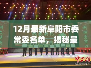 揭秘，最新阜阳市委常委名单公布与详细步骤指南