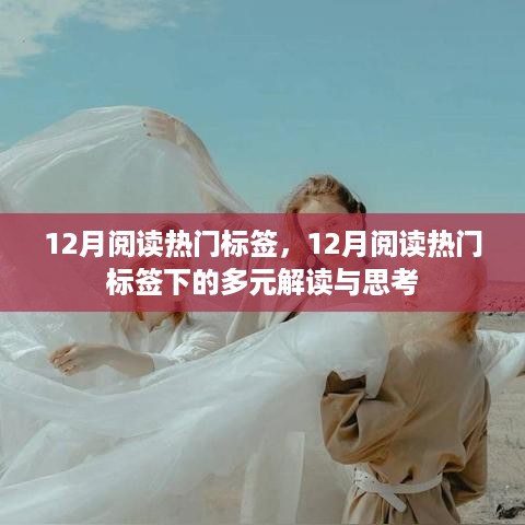 12月阅读热门标签下的多元解读与思考