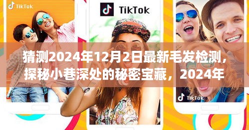 探秘小巷深处的秘密宝藏，揭秘最新毛发检测之旅（2024年）