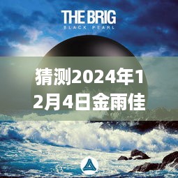 金雨佳的奇幻日常，Blackpearl星球上的温馨时光（最新预测2024年12月4日）