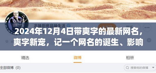 爽字新宠，网名的诞生、影响与时代印记