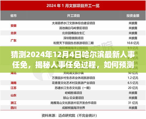 哈尔滨最新人事任免预测与解读，揭秘人事调整过程（初学者与进阶用户指南）