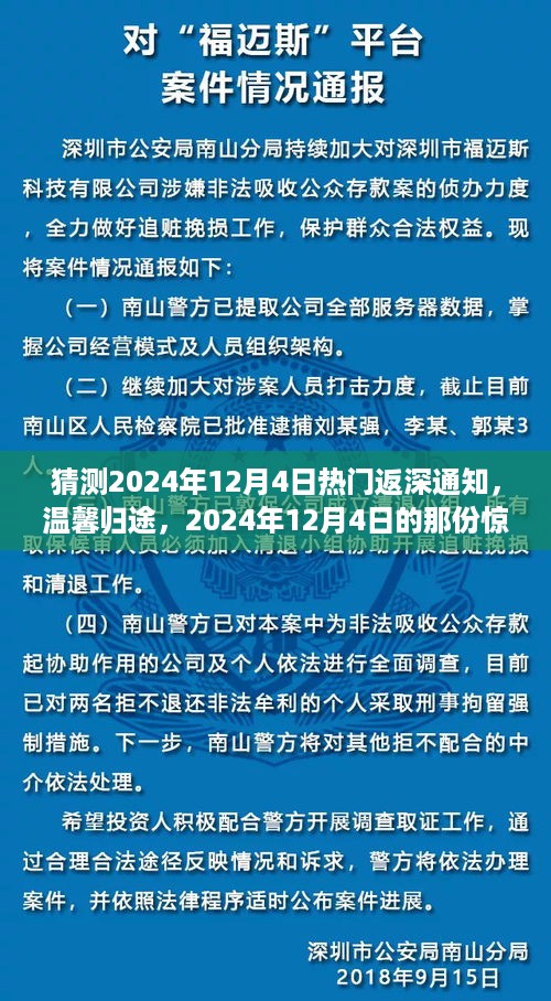 温馨归途，揭秘2024年12月4日热门返深通知的惊喜内容