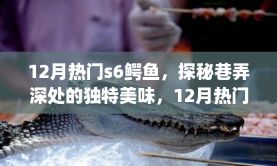 探秘巷弄深处的独特美味，12月热门S6鳄鱼美食小店揭秘