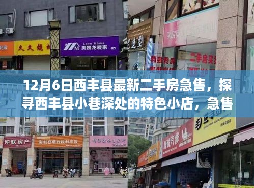 西丰县二手房急售与小巷特色小店探寻，背后的故事与惊喜