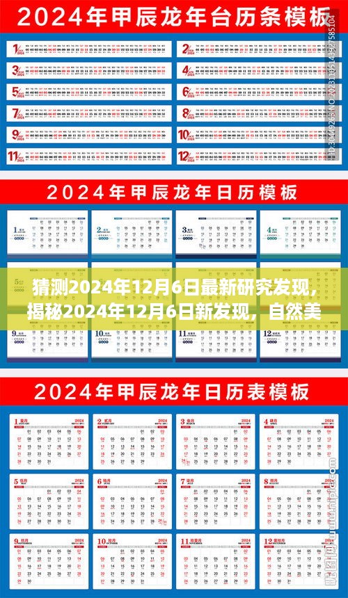 揭秘之旅，新发现与自然美景，探寻内心的平和与宁静（2024年12月6日最新研究）
