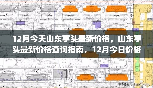 山东芋头最新价格查询指南，今日山东芋头价格一网打尽（12月）