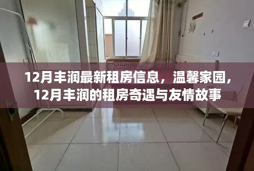 12月丰润租房信息，温馨家园里的奇遇与友情故事