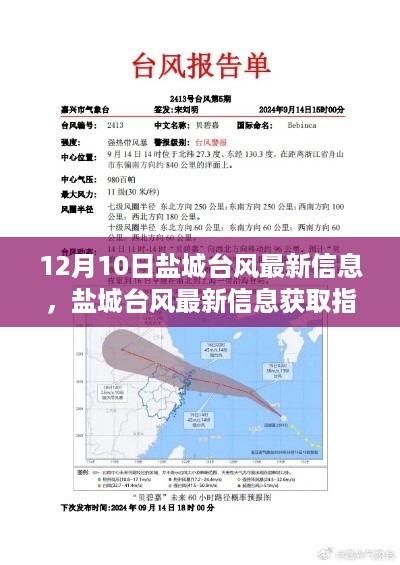 10使用二八 第3页