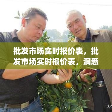 贵险贱璧 第3页