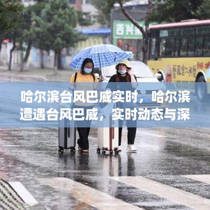 哈尔滨遭遇台风巴威，实时动态与深度分析