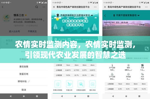 农情实时监测，引领现代农业发展的智慧之选，实现精准农业管理的新时代里程碑