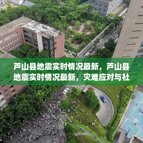 芦山县地震最新实时情况，灾难应对与社会关怀的双向奔赴进展更新