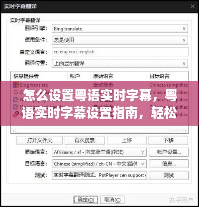 粤语实时字幕设置指南，轻松实现影音娱乐无障碍交流
