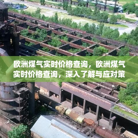 衣不兼采 第3页